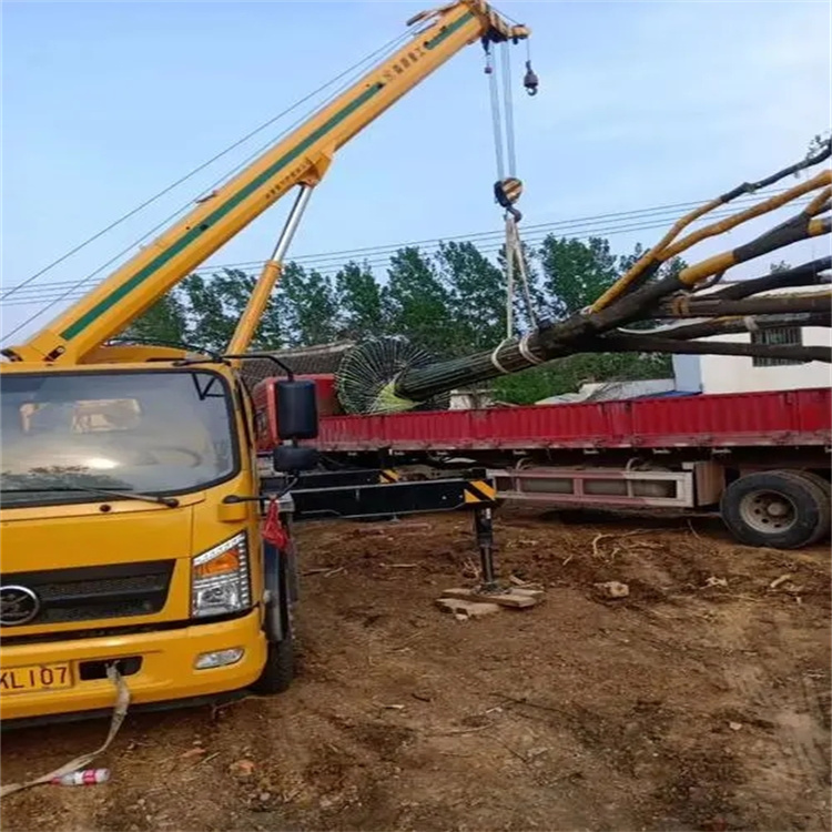 鹤峰100吨吊车租赁费用怎么算？3大关键因素+省钱技巧全解析